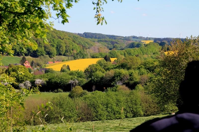 Glooiend landschap met velden en bossen bij Extertal